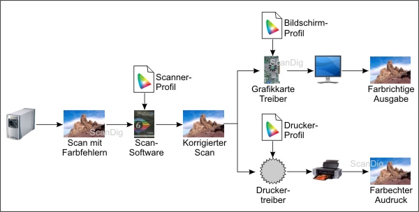 Anwendung von Scanner-Profil, Bildschirm-Profil und Drucker-Profil in einem Farbmanagement-Prozess