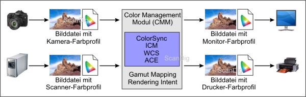 Das Color Matching Modul konvertiert Farbprofile der unterschiedlichen Geräte.
