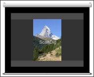 Scan-portrait format on a screen