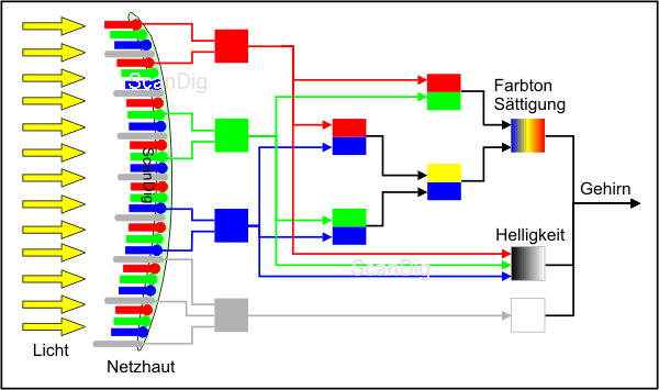 Schematic illustration of the signal processing at day light