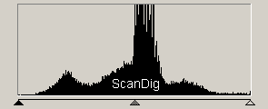 Die Tonwertkurve zeigt ein durchgehendes Spektrum über die gesamte Grauskala hinweg.