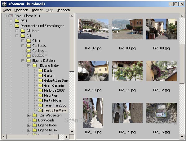 Das Thumbnail-Fenster von IrfanView