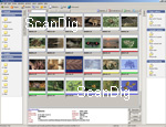 Fenêtre d\'application FotoStation Pro